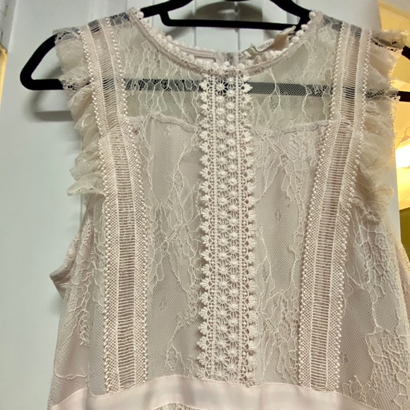 Chelsea & Violet Ivory/blush lace dress - Picture 3 of 9